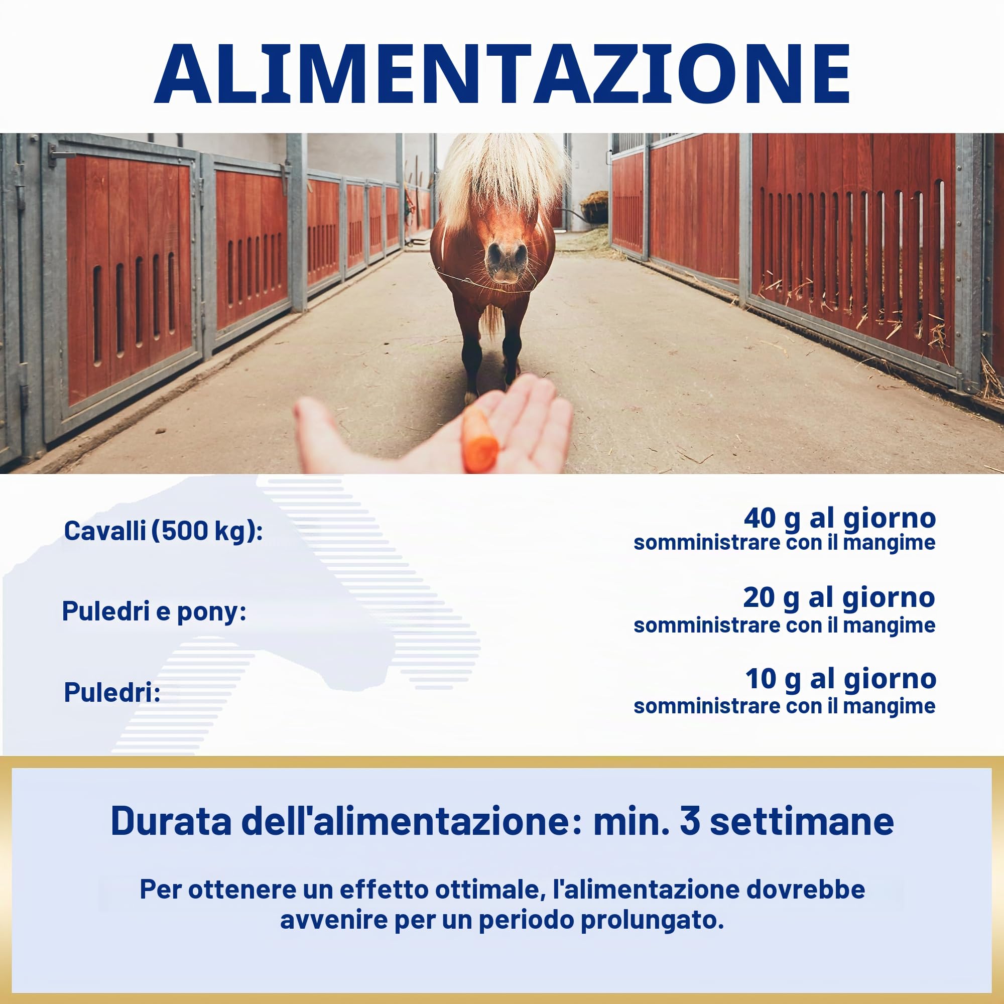 EQUIPUR – zinco forte – Alimentazione sicura con zinco organico e selenio, 1000g pellets in scatola