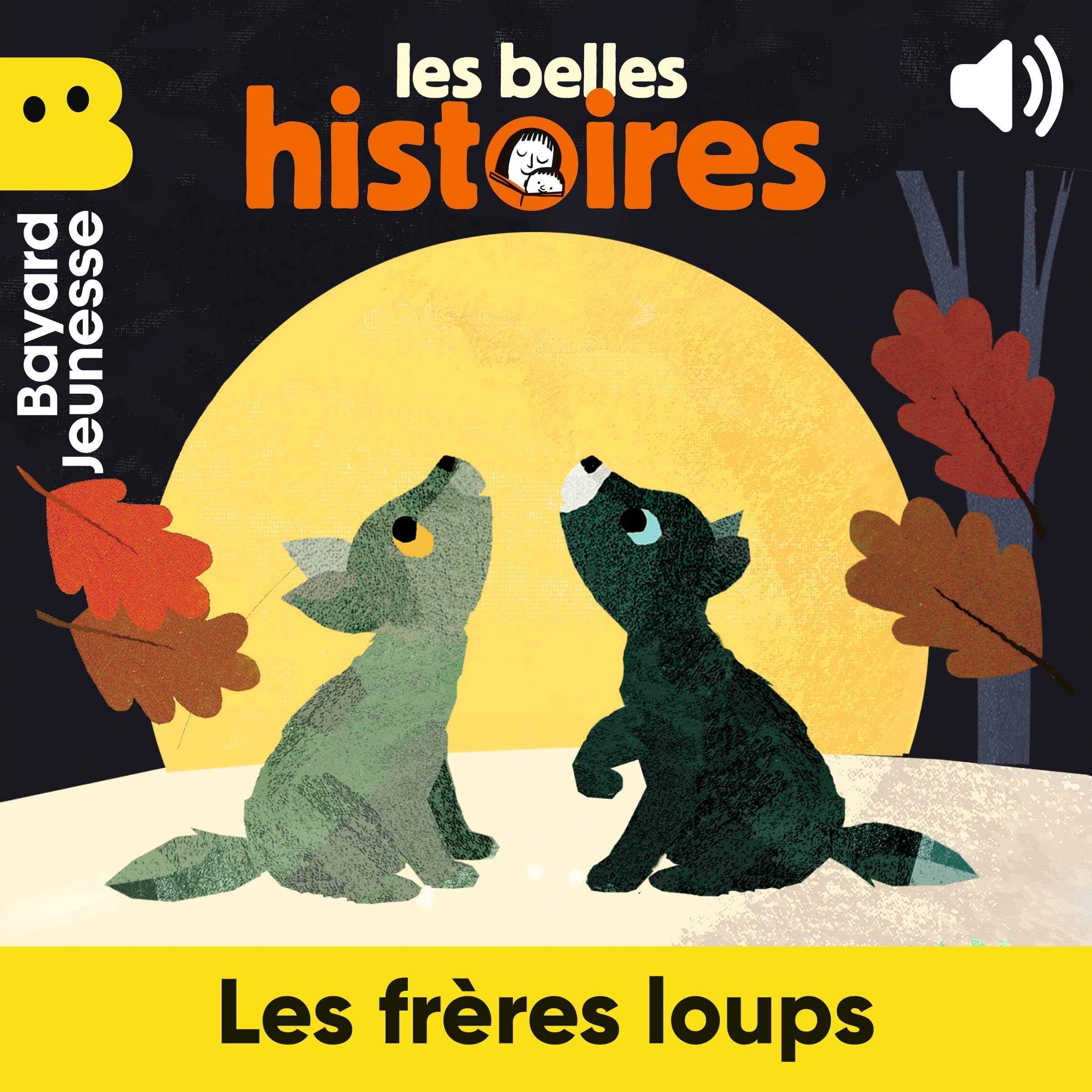 Cover art for Les frères loups