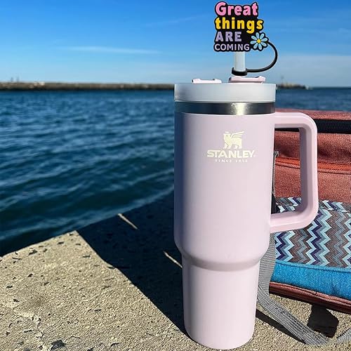 Miniatura 4 de Cubierta de popote para copa Stanley, fundas de popote Amreich para popotes Stanley Yeti de 0.394 in, tapa de popote para vaso Stanley de 30 y 40