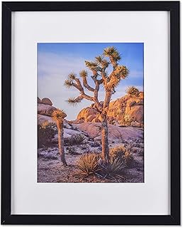 A PLUS MAX Poster Frames 20x24 Picture Frame with mat for 16x20 Picture with Polished Plexiglass Horizontal and Vertical Formats with Included Hanging Hardware-Black