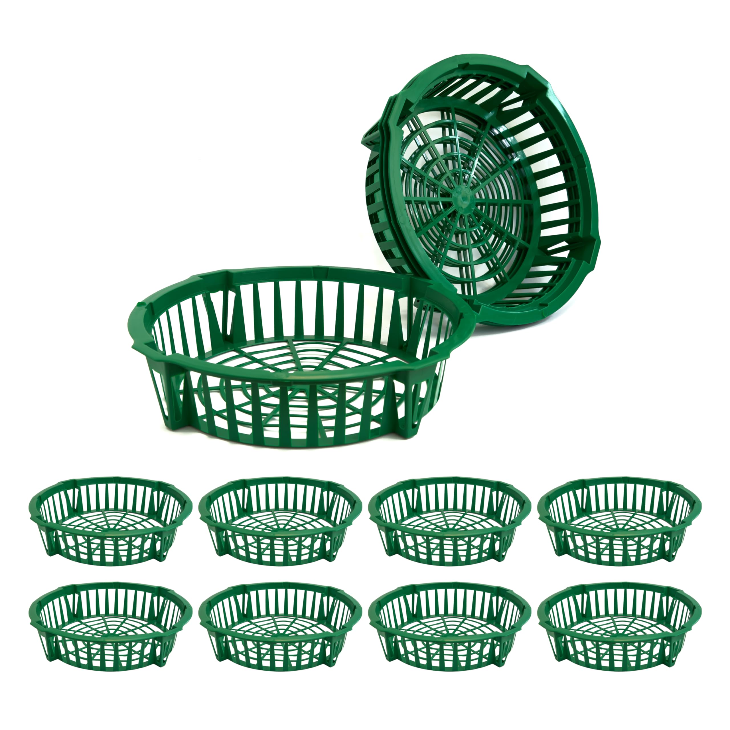 Lot de 12 plateaux en plastique pour plantation de bulbes - Panier de plantation pour oignons, bulbes de fleurs