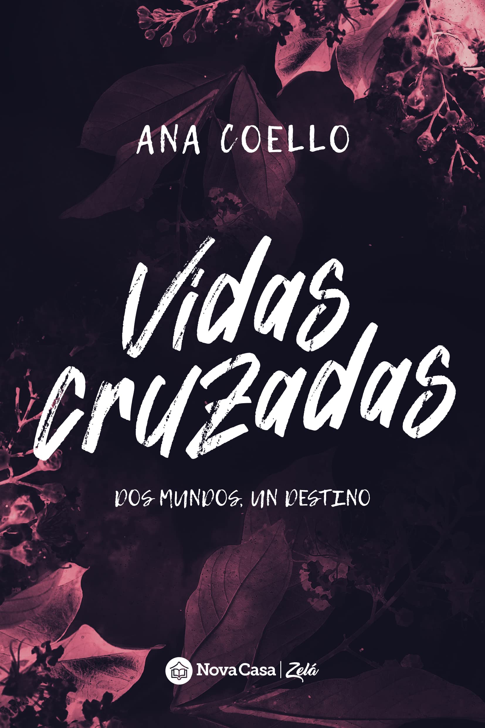 Vidas Cruzadas (Spanish Edition)