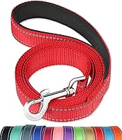 FunTags 6FT Reflective Dog Leash with Padded Handle - Durable Nylon Training Lead for Medium & Large Dogs, 1 Inch Wide, Red