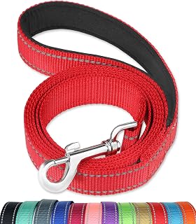 FunTags 6FT Reflective Dog Leash with Padded Handle - Durable Nylon Training Lead for Medium & Large Dogs, 1 Inch Wide, Red