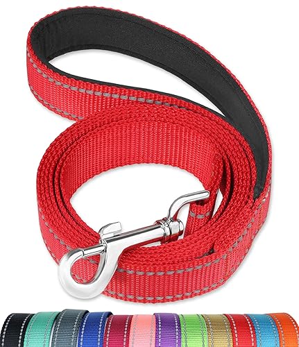 FunTags 6FT Reflective Dog Leash with Soft Padded Handle for