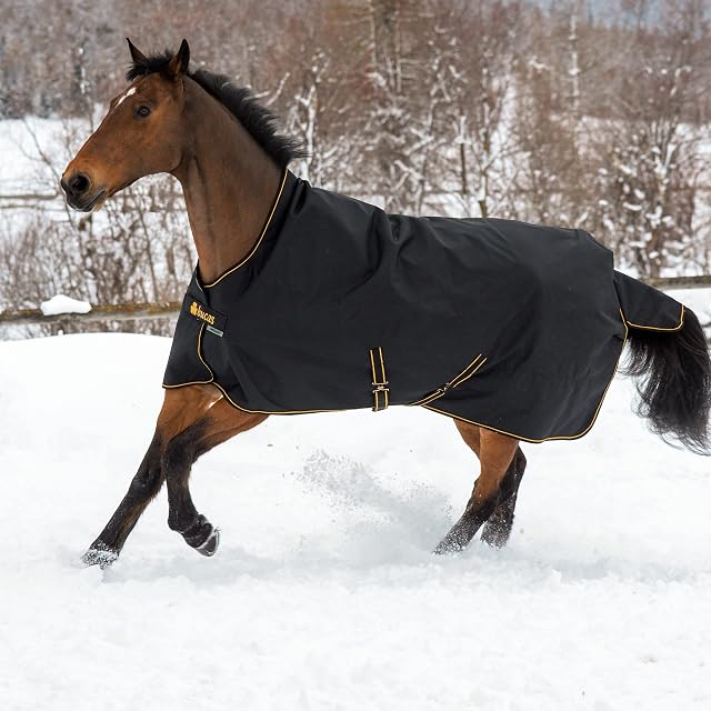 Foto 4 de 6 de Kerbl Bucas IrishTurnout - Manta para Caballos, Extra 300 g, 120 SW/Dorado