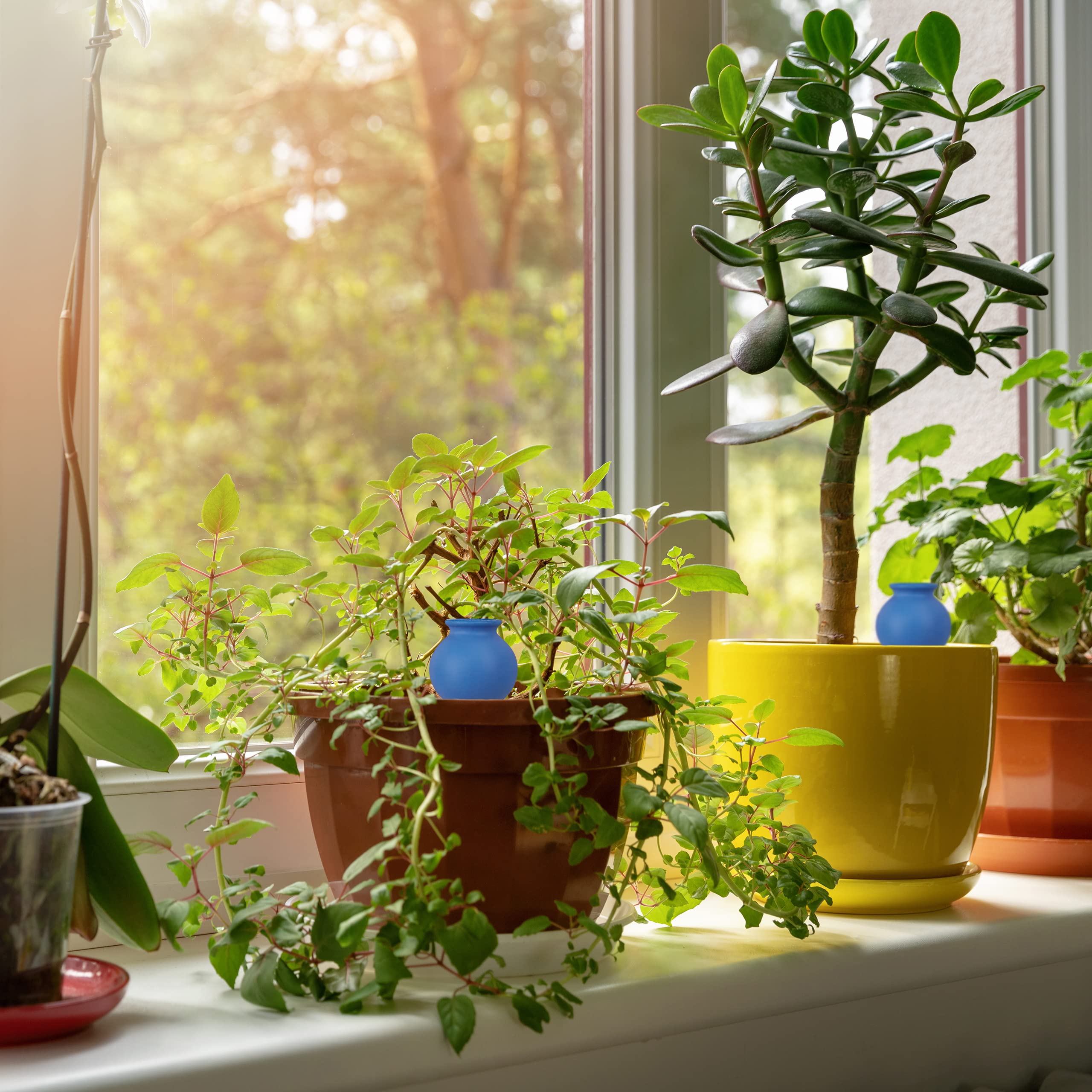 Relaxdays Podlewanie glinianych końcówek, zestaw 4 sztuk, dozownik wody do roślin pokojowych i skrzynek balkonowych, automatyczne, stożek do podlewania, niebieski, 12 x 6 x 6 cm