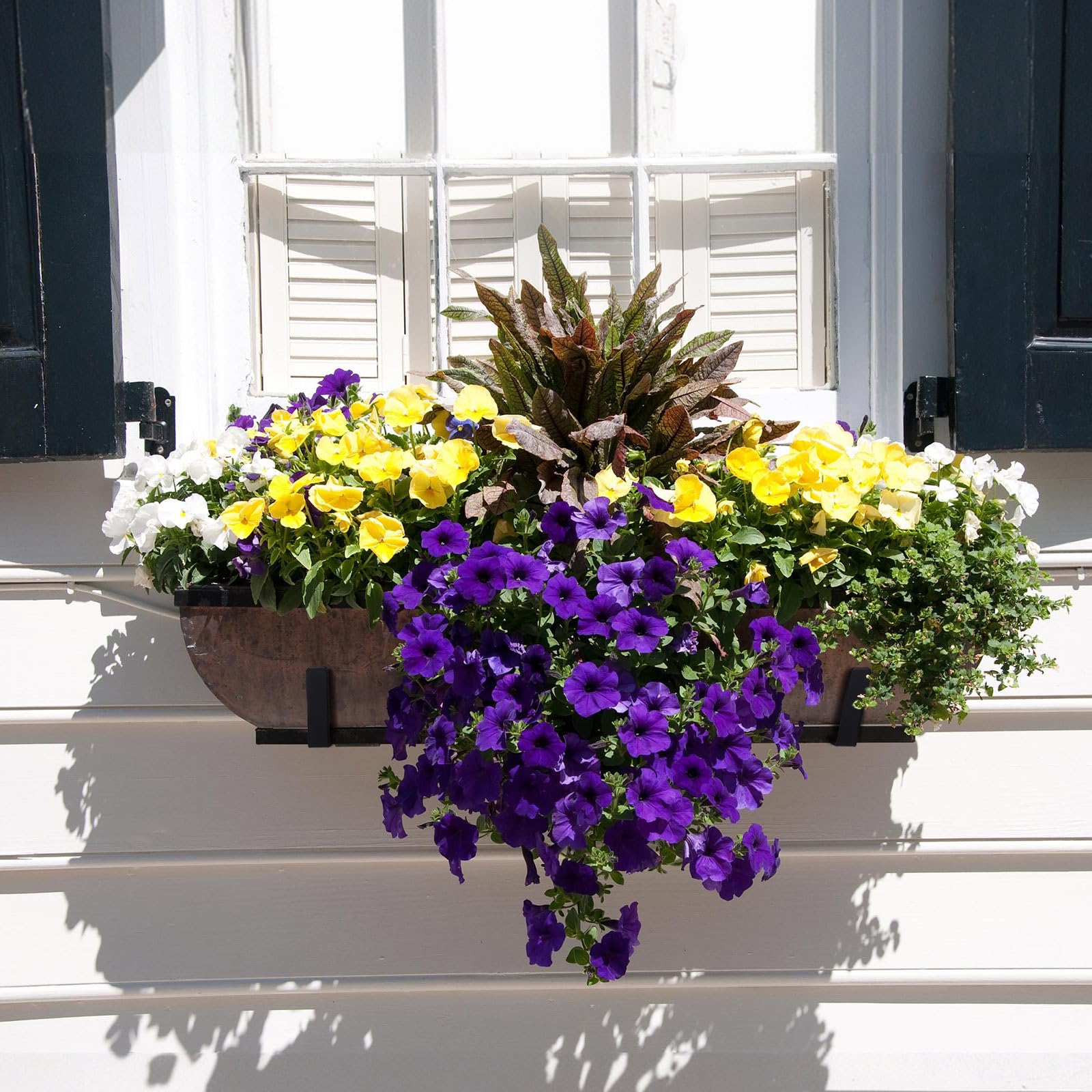 Baluue Blumenkastenhalterungen für Fenster, verstellbare Blumenkastenhalterungen für Geländer, robuster schwarzer Stahl, für den Außenbereich, hängender Pflanzkasten für Zaun, Pergola, Terrasse,