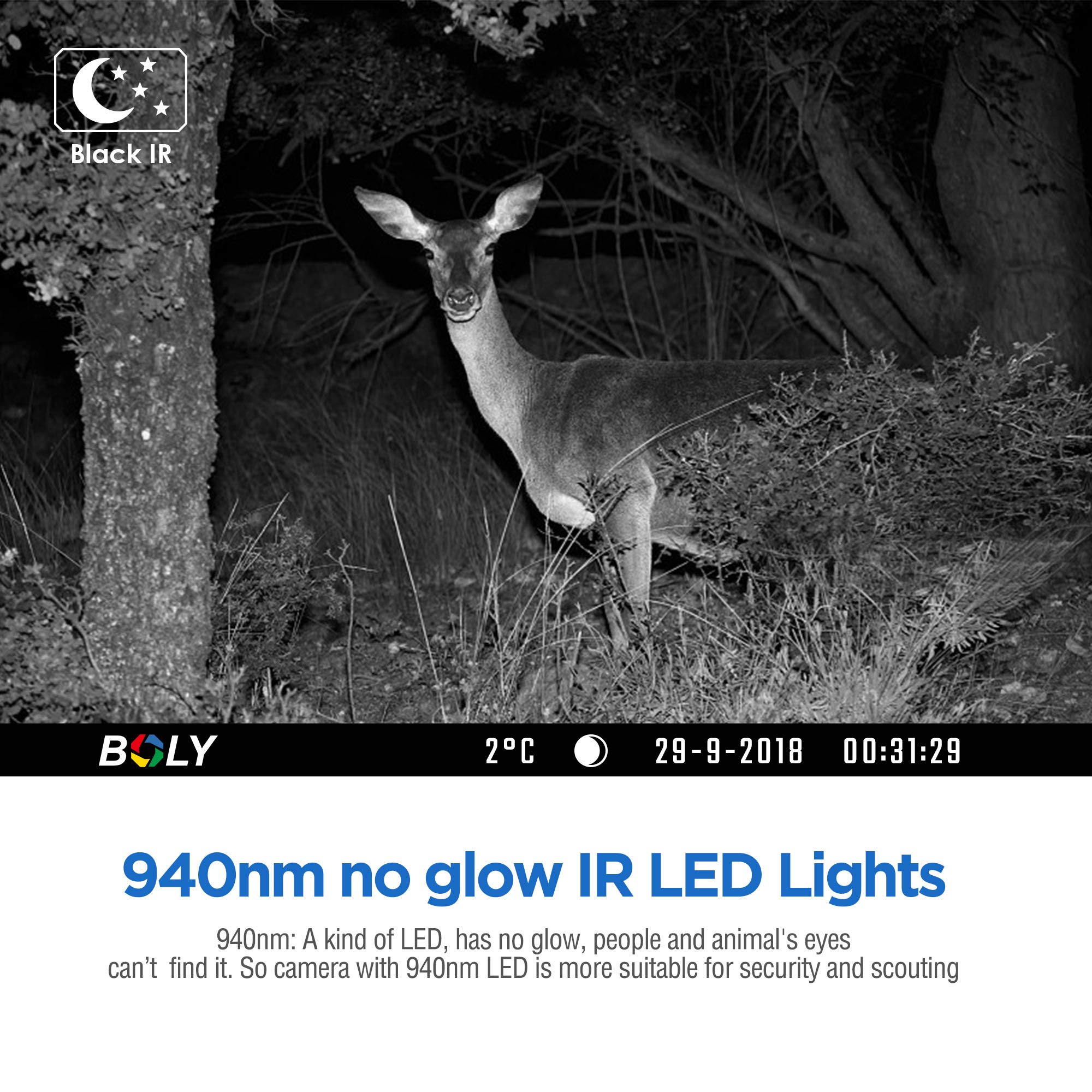 BolyGuard 36MP 4K HD Jagdkamera 110° Weitwinkel Jagdkamera Fotofalle IP66 Kamera Nachtsicht Tiere 30m(BG662-W4K)