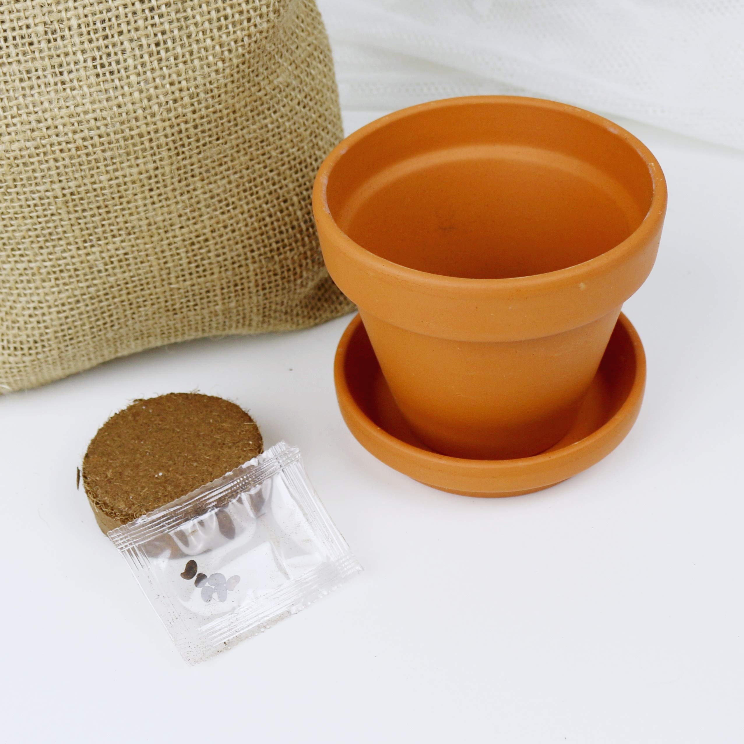 Pflanzset Baum Set Geschenkidee Zur Hochzeit Geschenk Brautpaar