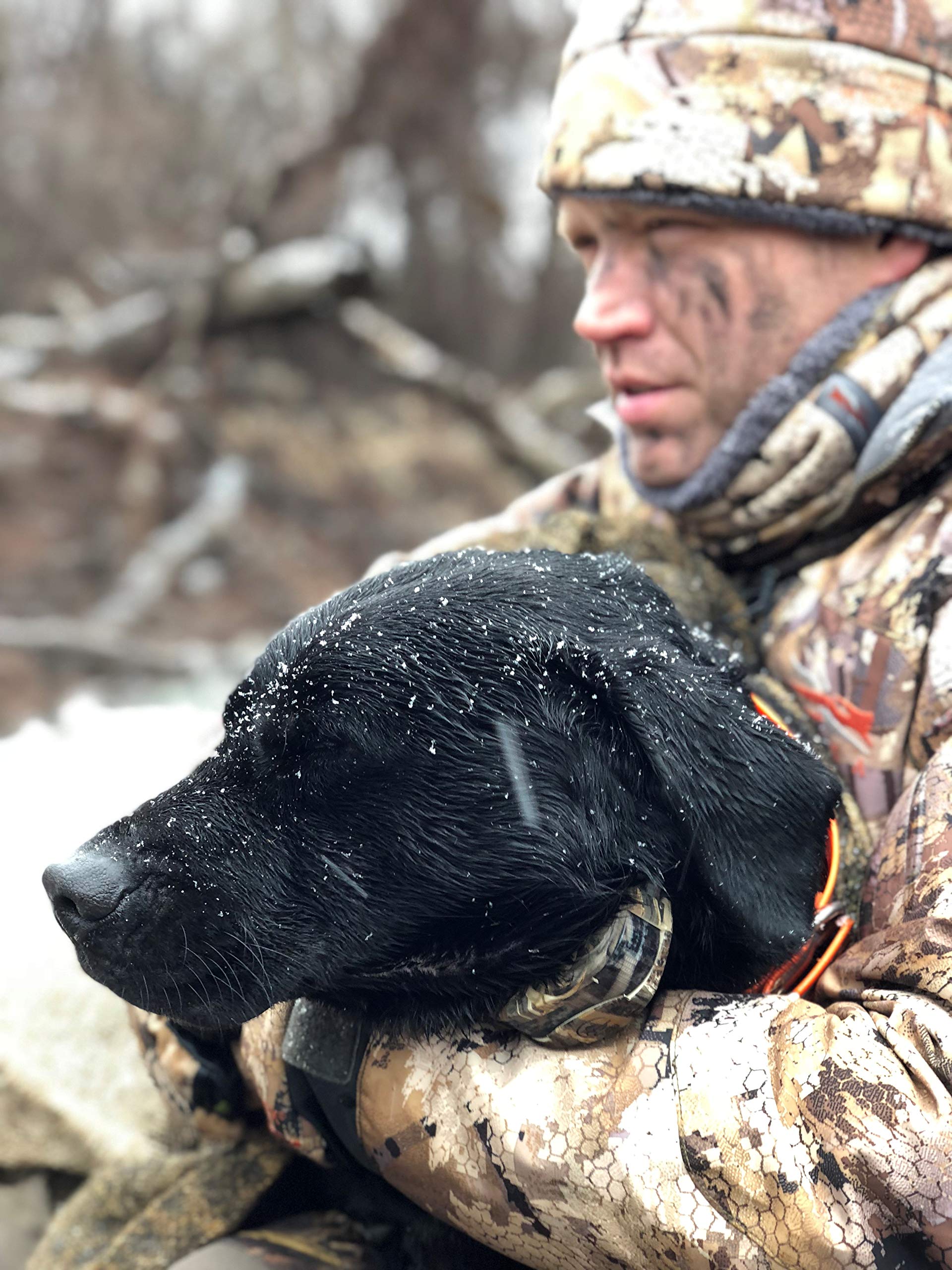 Beavertail Dog BlindQ