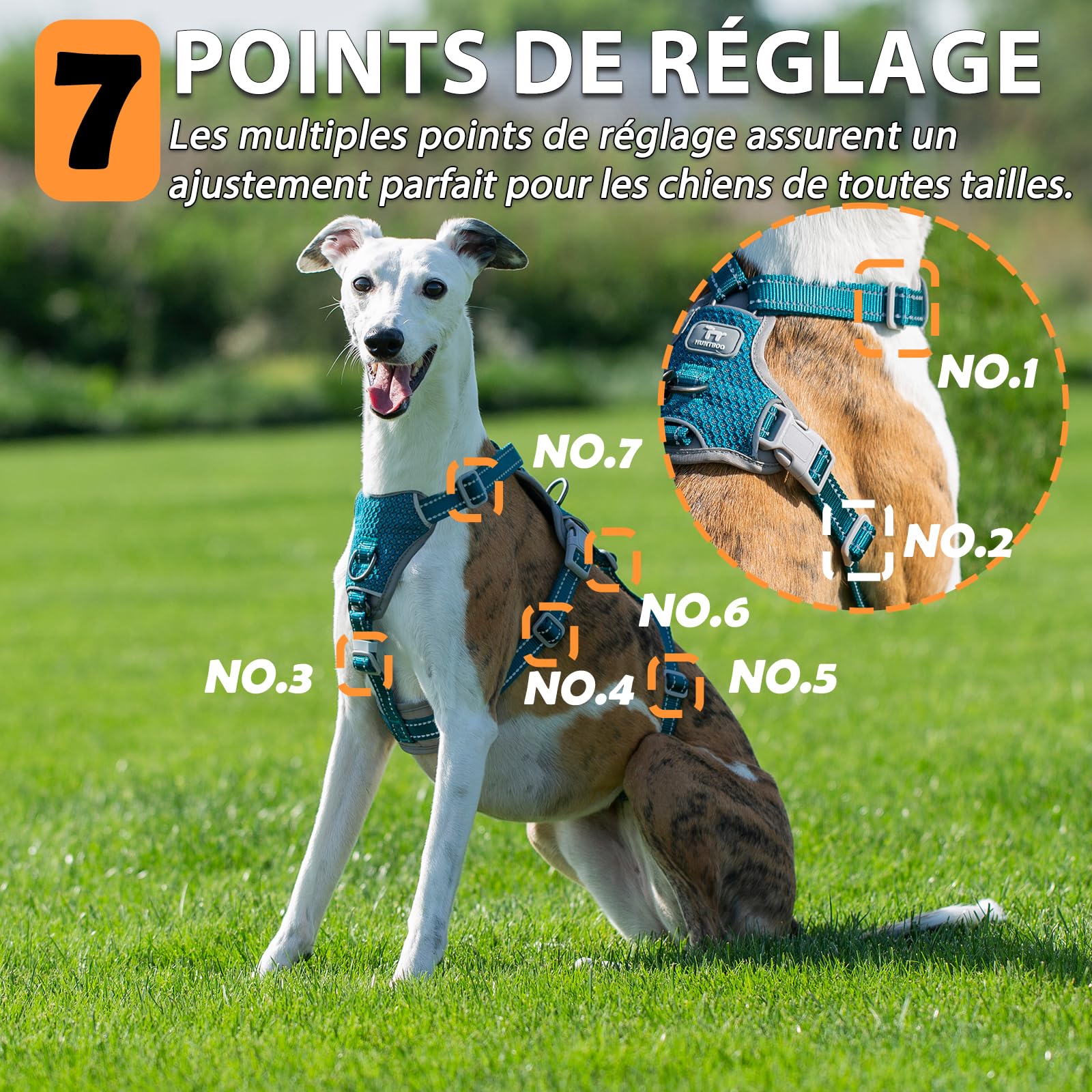 Huntboo Harnais Anti-Fugue pour Chien, Harnais Réfléchissant Anti-Traction pour Petits, Moyens et Grands Chiens, Durable, Réglable et Respirant pour l’Entraînement et la Promenade (Bleu,S)