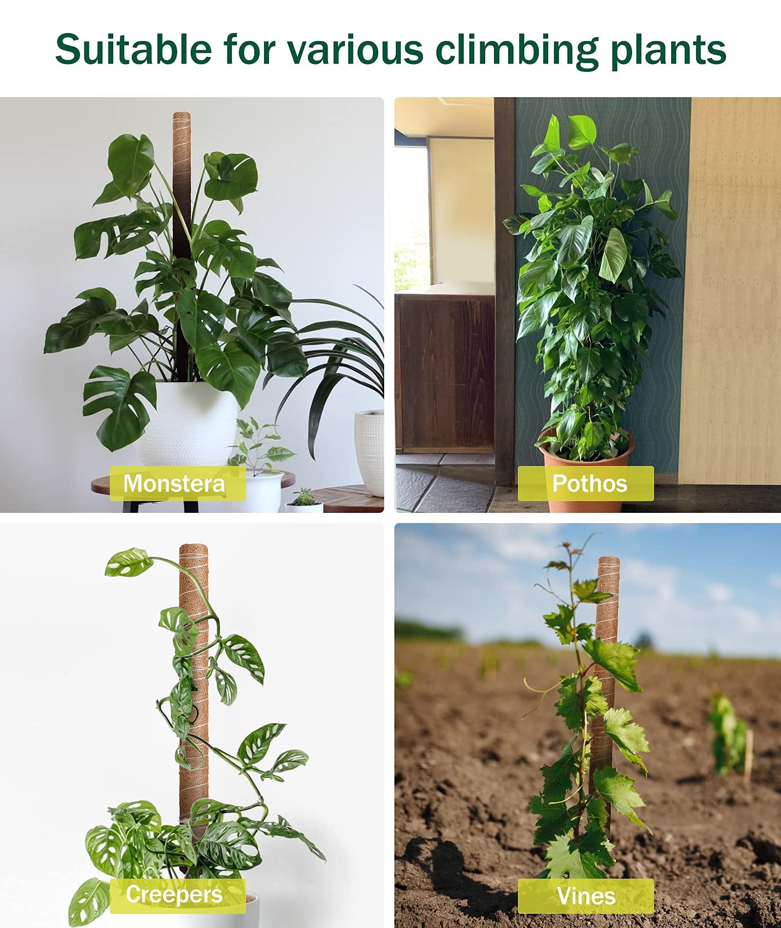 Moosstangen-Set – 2 Stück, 50 Cm, Mit Kabelbindern, Für Kletterpflanzen Wie Monstera