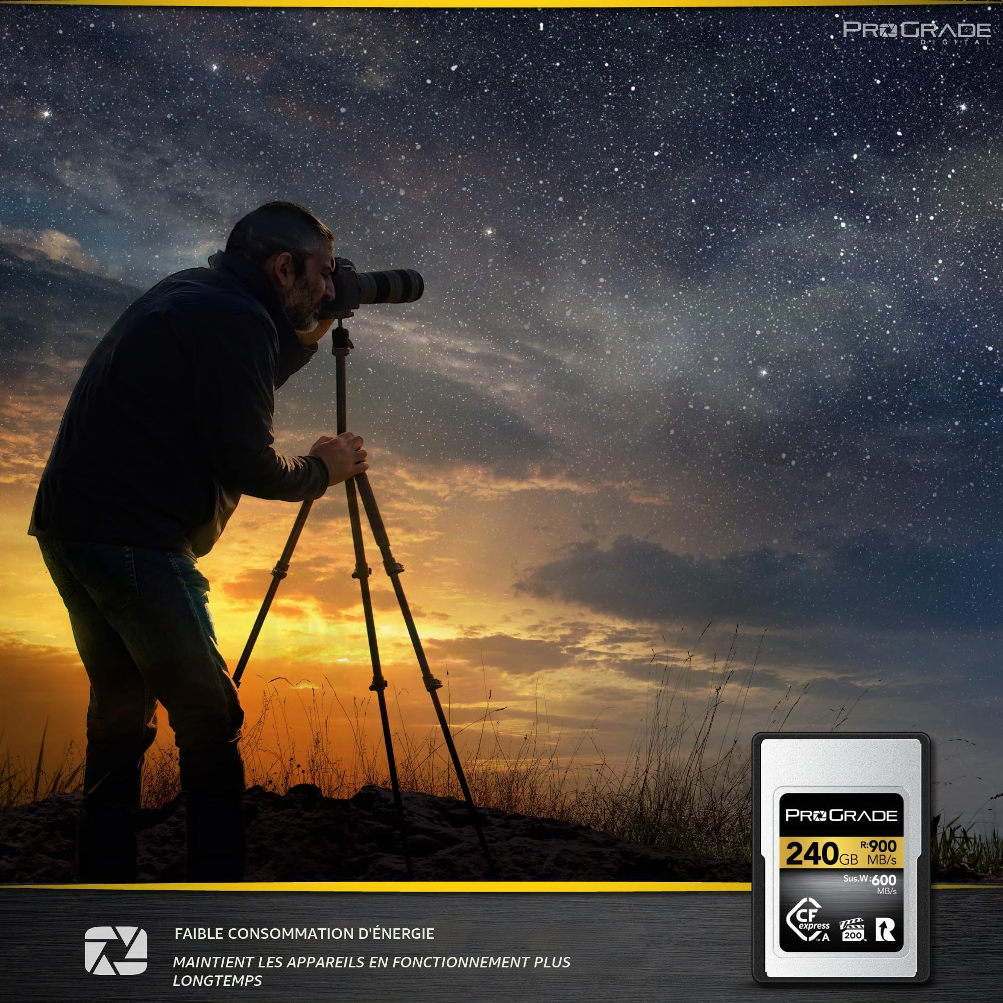 ProGrade Digital CFexpress™ 2.0 Carte mémoire Type A (240 Go) Doré