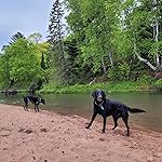 Review Image by Allison Haaning Allison Haaning