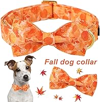 Vista 2 de ARING PET Collar de otoño para perro, lindo collar de perro amarillo con lazo, ajustable de algodón con hojas de otoño, pajarita con hebilla