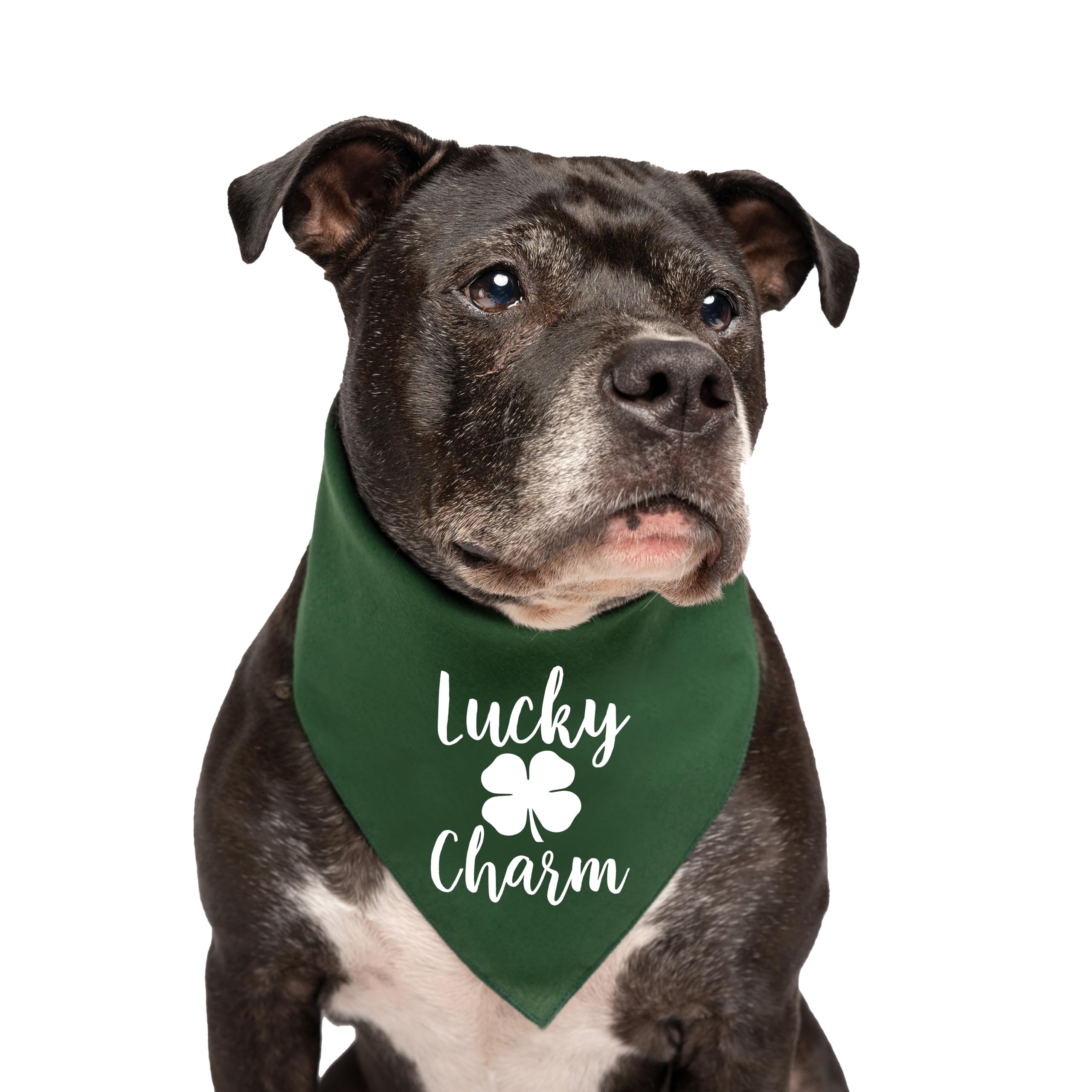 Lucky Charm Shamrock Dog Bandana | 100% Cotton Triangle | Made in USA | Funny St. Patrick's Day Photoshoot Prop | Four Leaf Clover | Drinking Bar Parade Event Or Party | Green X-Small (67)