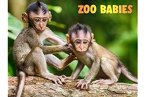 Animal Planet: Zoo Babies