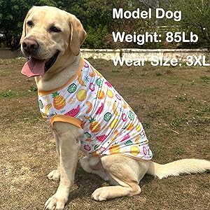 Pet Dog Yellow Sleeveless T Shirts with Fruits Pattern Printed pet Clothes Soft Breathable Vest for Large Dogs 2X-Large,Fruits