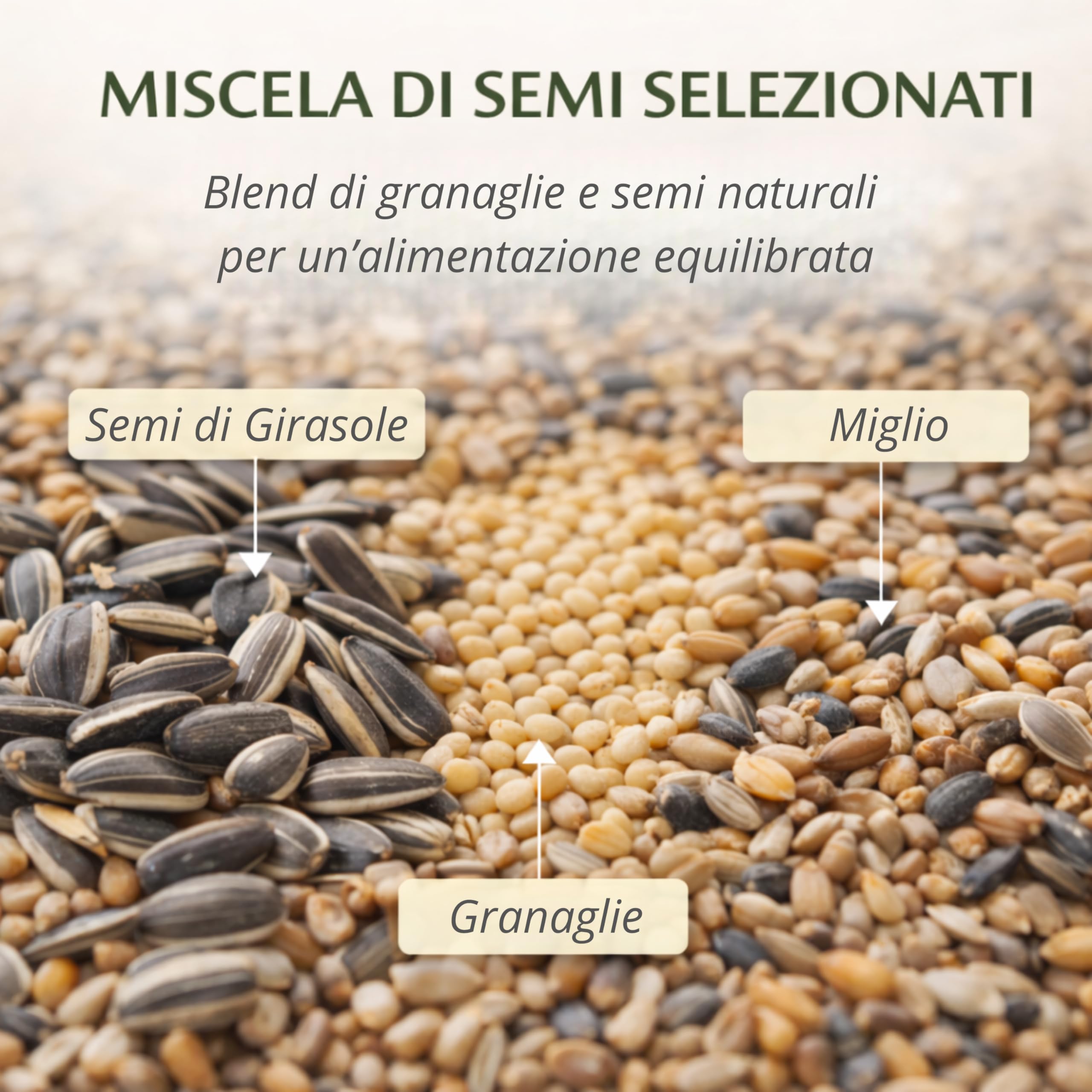 AGRI-CULTURA® | Mangime Uccelli Selvatici 800g | Miscela Semi e Granaglie Naturali per Tutti i tipi di Uccelli | Alimentazione Completa, Ideale per Casette e Aree Protette.