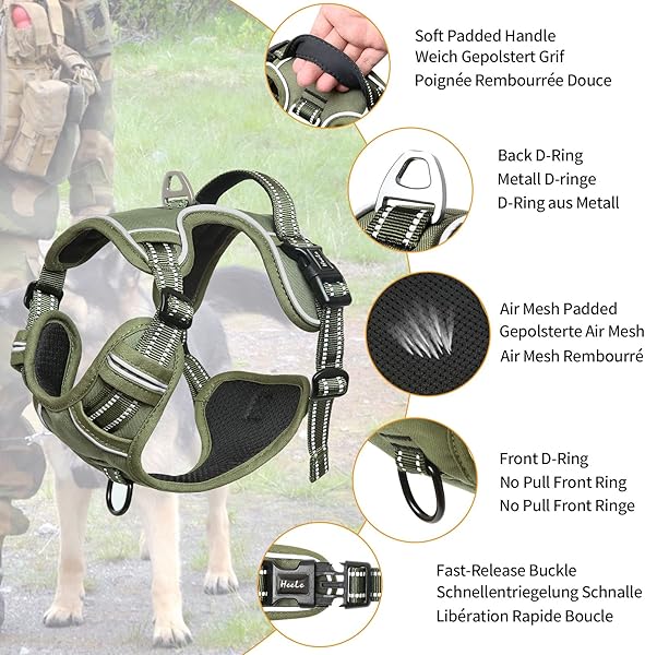 HEELE Dog Harness, Dog Harness for Small Medium Large Dogs No Pull Adjustable Padded Reflective Harness with Handle for Walking Training, Green, S - 2