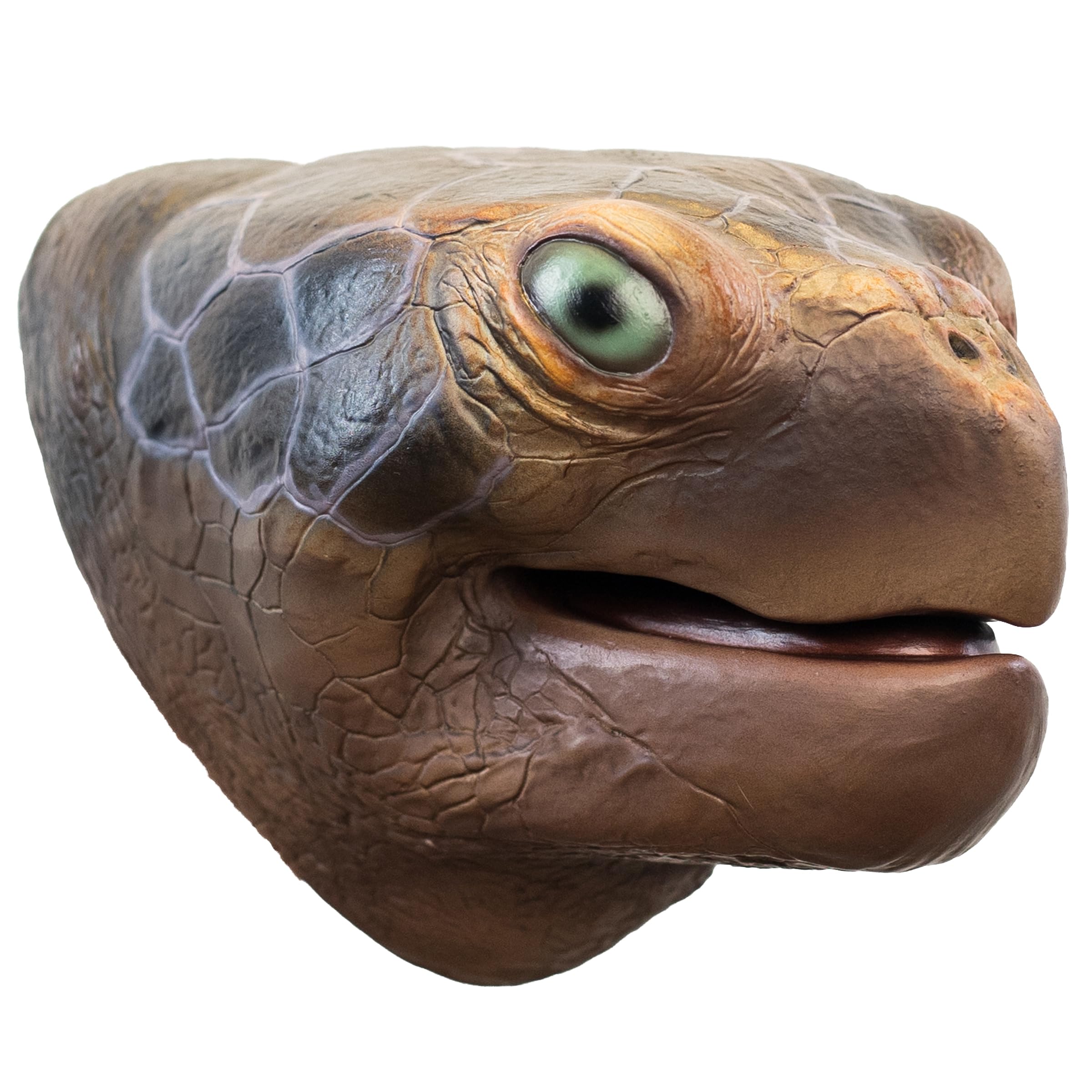 Wild Thingz Sea Turtle Hand Puppet for Kids | Interactive Storytelling Animal Toy for Learning, Imagination & Creative Play