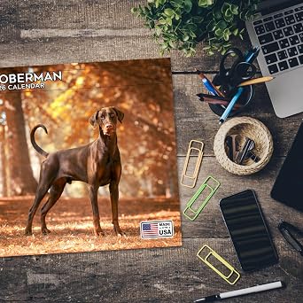 2026 Doberman Calendar - Dog Breed Wall Calendar - 12 x 24 Open - Thick No-Bleed Paper - 14 Month Planner Calendar Organizing & Planning