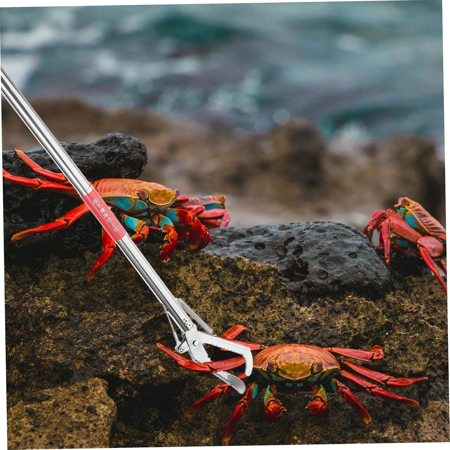 Stainless Steel Snake Tong Grabber with Wide Jaw Versatile Eel Tool for Fishing Garbage Collection Skid Handle for Easy Use Design