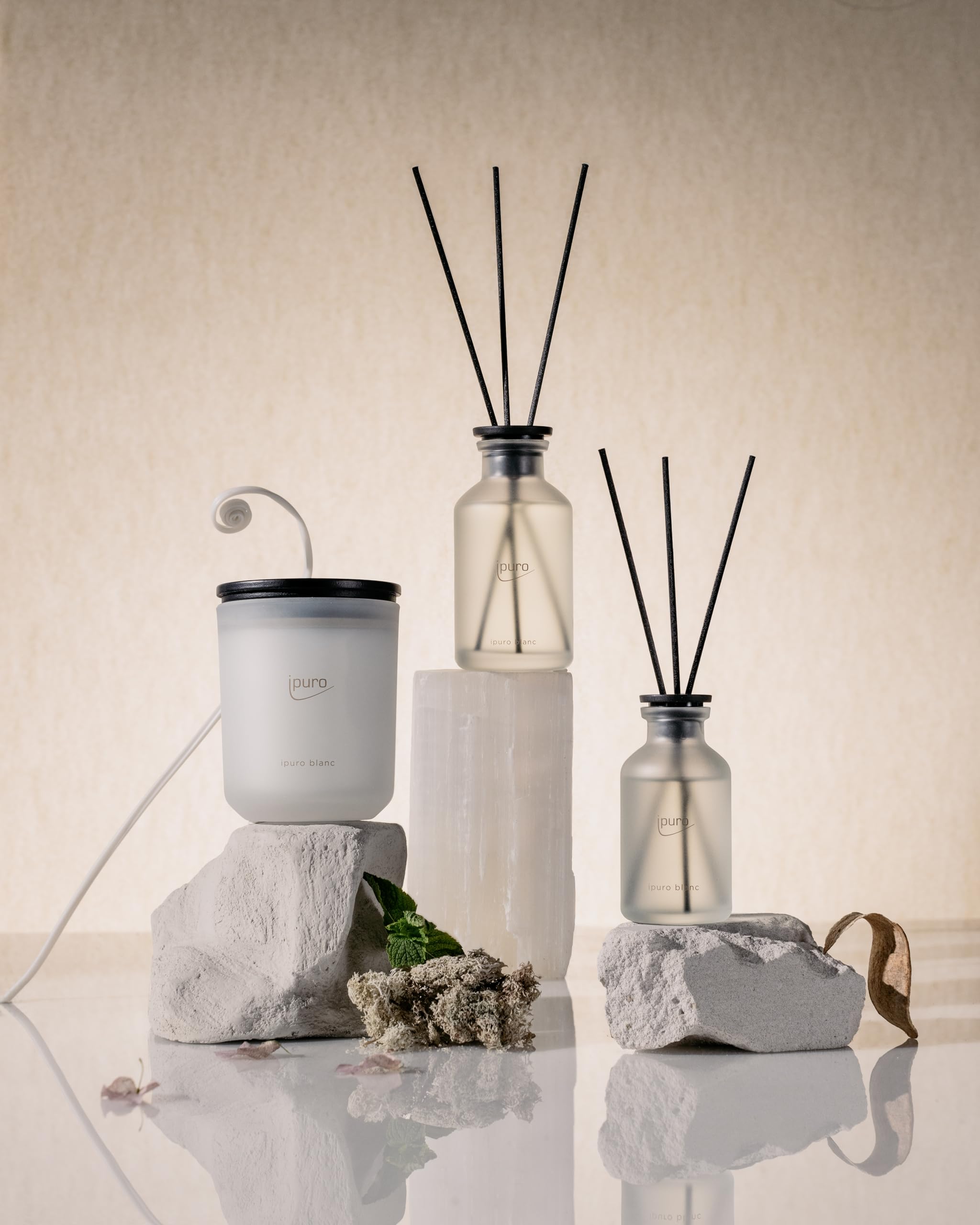 ipuro - Classic Raumduft Blanc - 240ml | Raumerfrischer mit Geranie, Minze & Sandelholz | Frischer Sommerregen Duft | Diffuser mit Stäbchen | Eleganter Lufterfrischer für die Wohnung (Packung mit 2)