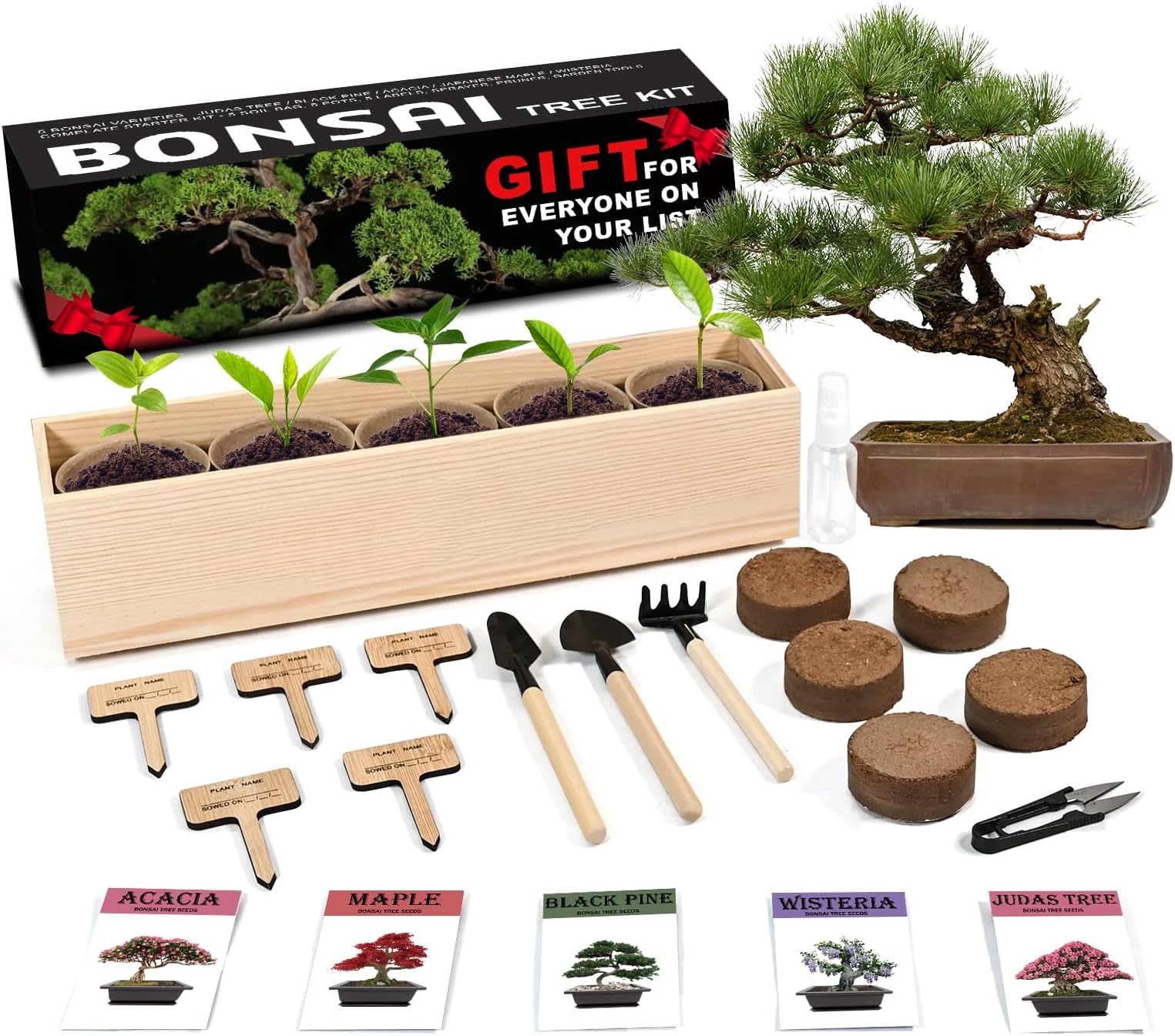 Bonsai Tree Starter Kit - 5 Bonsai with Complete Growing Kit - Peat Pots, Soil, Pruner, Watering, Garden Tools, Markers & Guide - Garden Gift for Women & Men