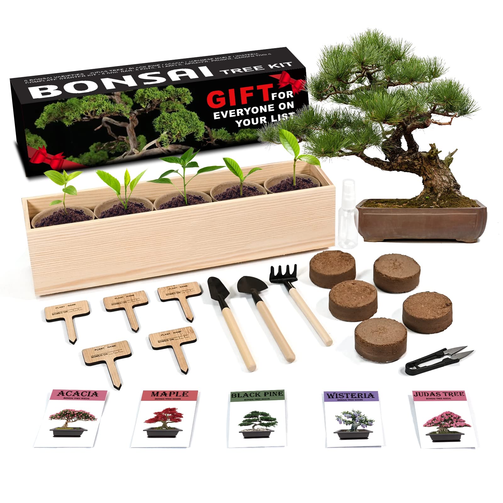 Bonsai Tree Starter Kit - 5 Bonsai with Complete Growing Kit - Peat Pots, Soil, Pruner, Watering, Garden Tools, Markers & Guide - Garden Gift for Women & Men
