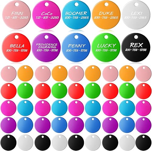 100 etiquetas en blanco para perros de 0984in para grabar discos redondos de aluminio etiqueta de metal suave colgante de doble sello con agujero