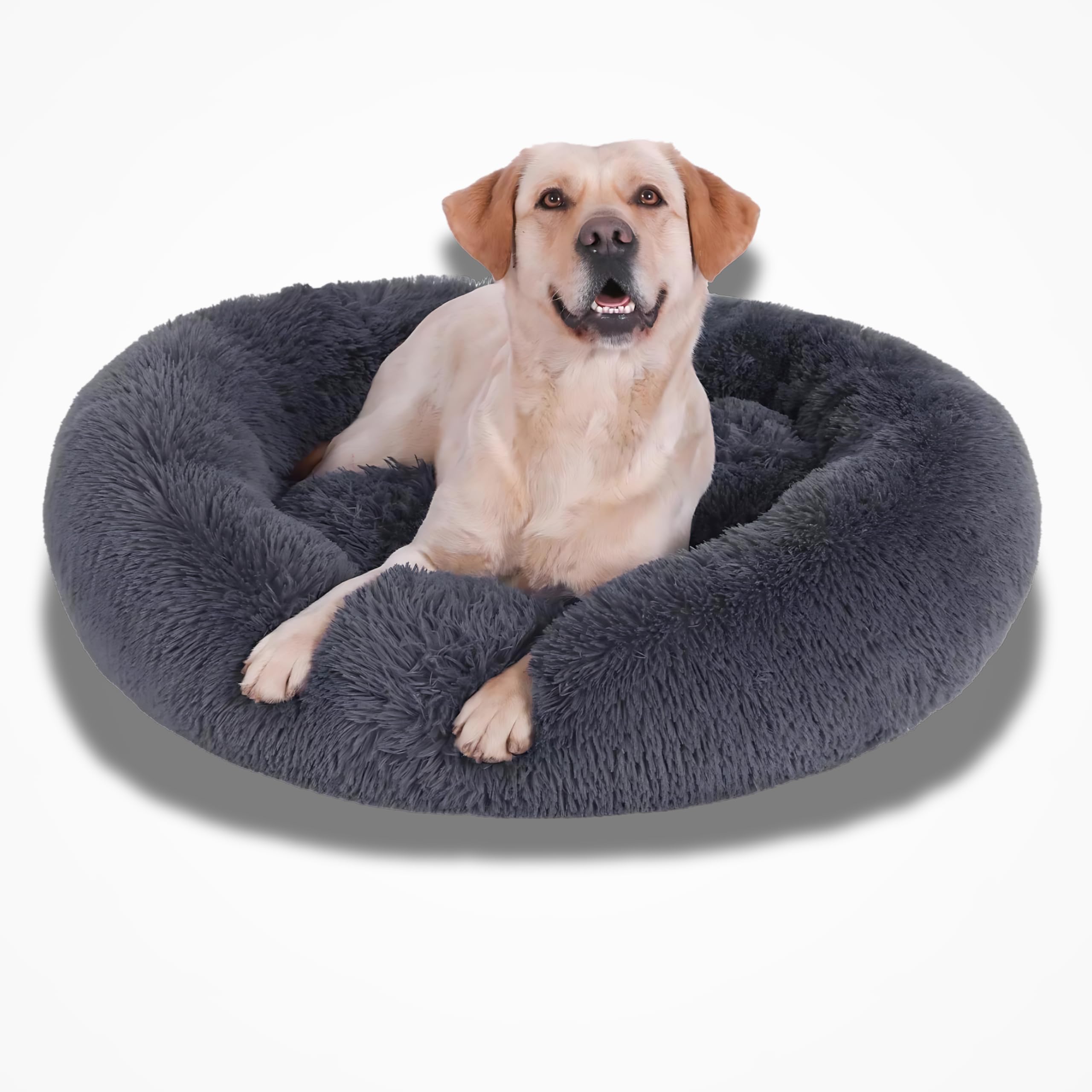 See full amazon price history chart for ZEXSAZONE Round Donut, Washable, Both Sides usable Pet Bed I Cat Bed I Puppy Bed I Dog Bed I Medium Dog Bed for Dogs, Cats and Puppies Cozy and Plush, Sizes for Small, Medium Pets M Grey ZEXSAZONE Round Donut, Washable, Both Sides usable Pet Bed I Cat Bed I Puppy Bed I Dog Bed I Medium Dog Bed for Dogs, Cats and Puppies Cozy and Plush, Sizes for Small, Medium Pets M Grey (B0D9GR9378) Amazon Price History, Amazon Price Tracker