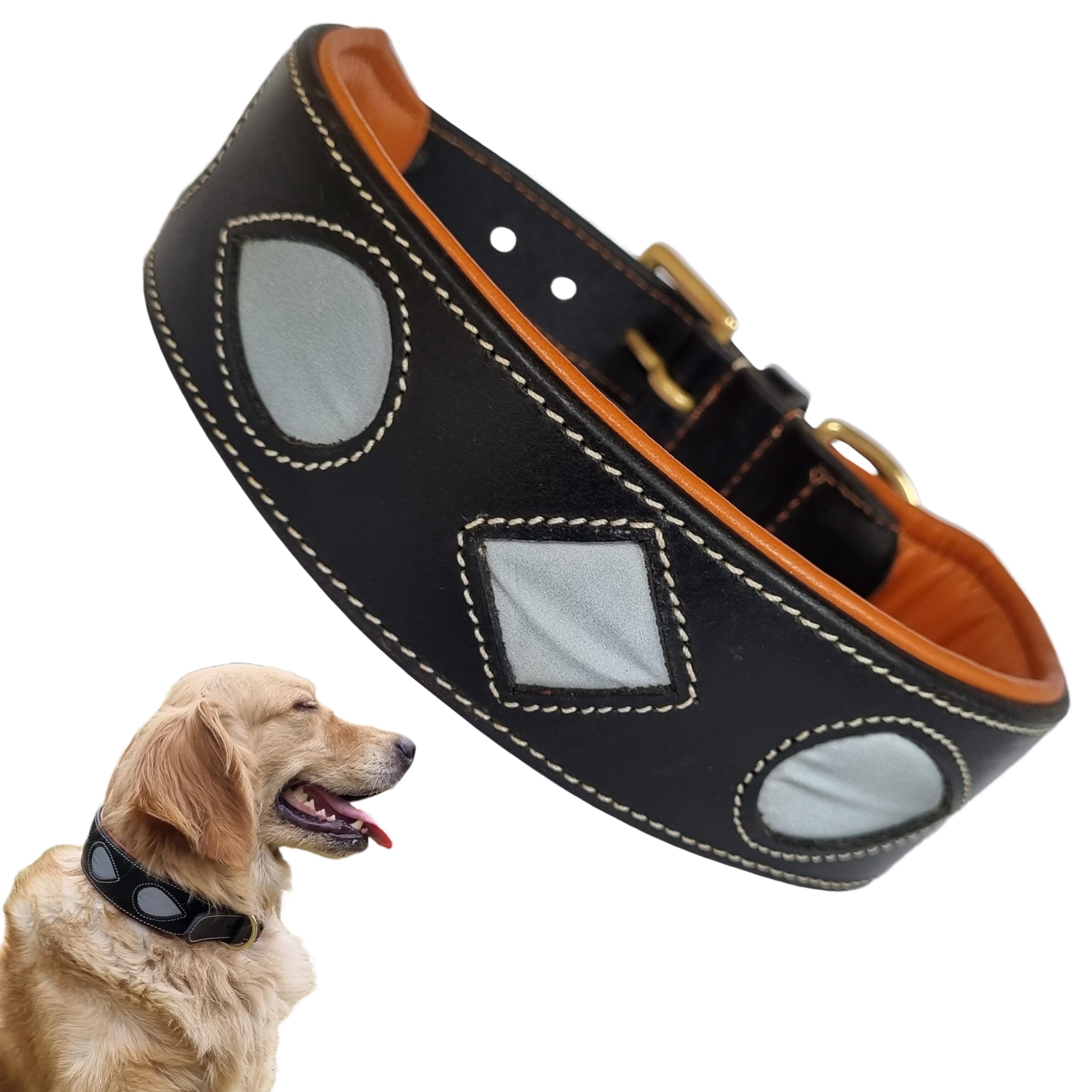 See full amazon price history chart for Bruby Premium Leather Dog Collar with Soft Padding and Integrated Reflective Design, Dog Neck Belt, Dog Belt, Genuine Leather Collar for Dog, 2 inch Width (Medium) Bruby Premium Leather Dog Collar with Soft Padding and Integrated Reflective Design, Dog Neck Belt, Dog Belt, Genuine Leather Collar for Dog, 2 inch Width (Medium) (B0D1GNF6ZH) Amazon Price History, Amazon Price Tracker