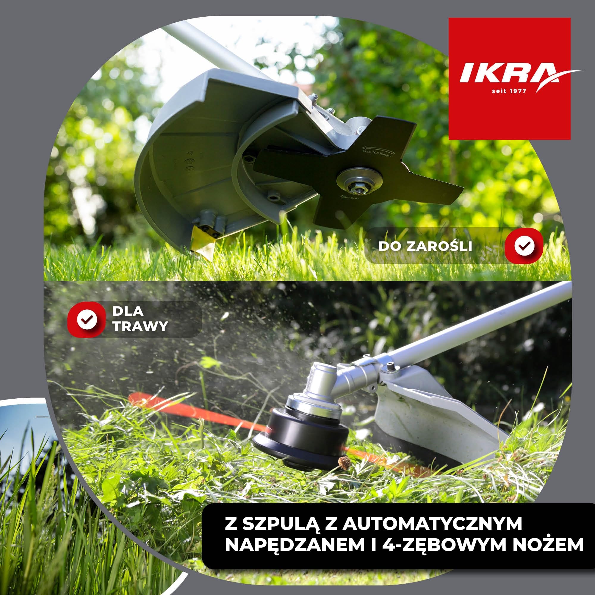 IKRA Podkaszarka spalinowa IBF 25-1 szpula żyłkowa,trójząb i szelki | Silnik 2-suwowy 25 cm³, 0,8 kW, uchwyt rowerowy, szerokość cięcia 23 cm do wysokiej trawy, gałęzi i chwastów