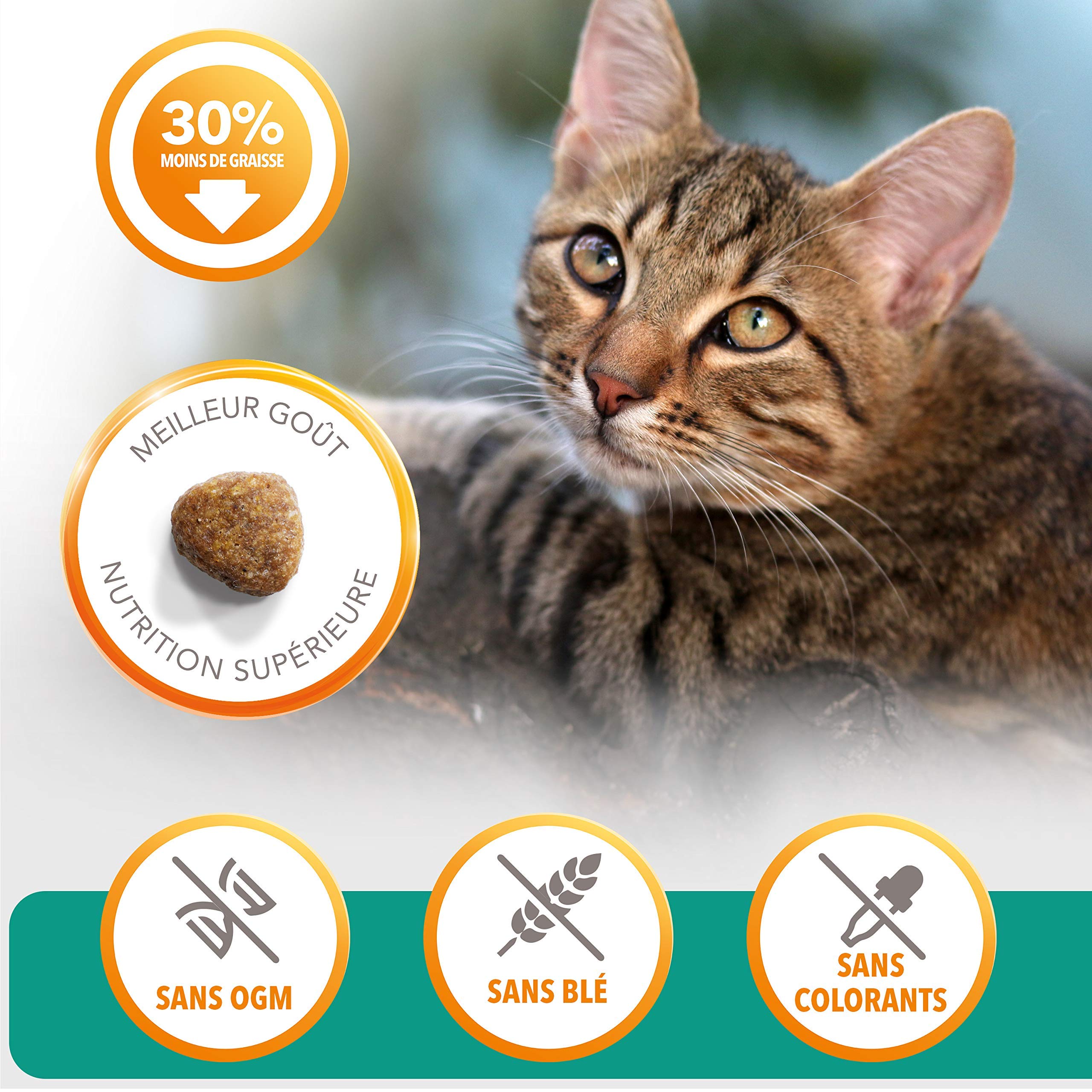 Iams Karma dla Kotów, Kurczak, 1,5 kg