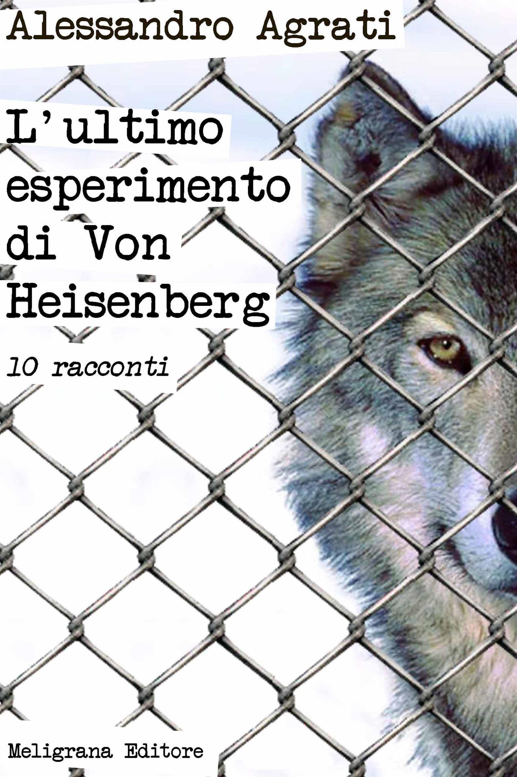 L’ultimo esperimento di Von Heisenberg: racconti (Italian Edition)