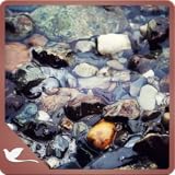 Calm Coast - Water Waves on Shore