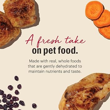 The Honest Kitchen Wholemade Dehydrated Grain Free Chicken Cat Food, Human Grade Recipe with Probiotics & Cage Free Chicken, Digestive Support, Meal or Topper for Cats, Makes 8 lbs from 2 lb Box