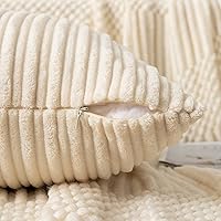 Vista 533 de UGASA - Juego de 2 fundas de almohada de terciopelo a rayas, funda decorativa para cojín con cremallera oculta para el hogar, sofá, dormitorio