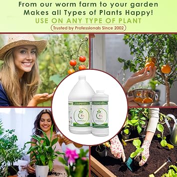 Worm Tea for Gardening - 32oz Quart - Organic Earthworm Soil Enhancer - Vermicompost with Kelp - Increase Yields, Boost Growth, Reduce Stress- Vegetables, Flowers, Fruit Trees - Plant Probiotic