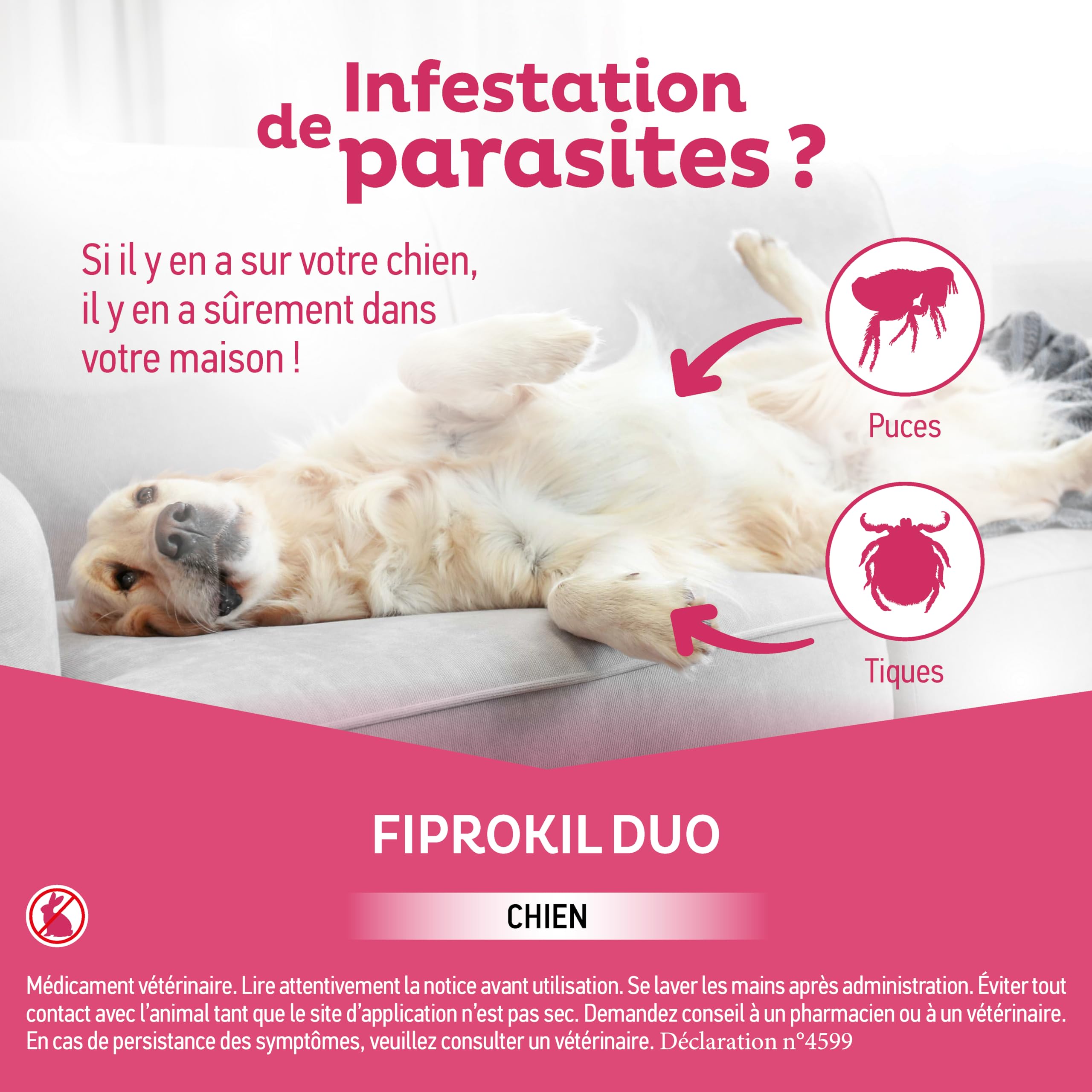 Fiprokil Duo Petits Chiens Clément Thékan (2-10 kg) - Anti-Puces/Tiques - Élimine parasites/Oeufs - Protège Jusqu’à 7 semaines l’Animal et 12 semaines l’Environnement - 4 pipettes Spot on