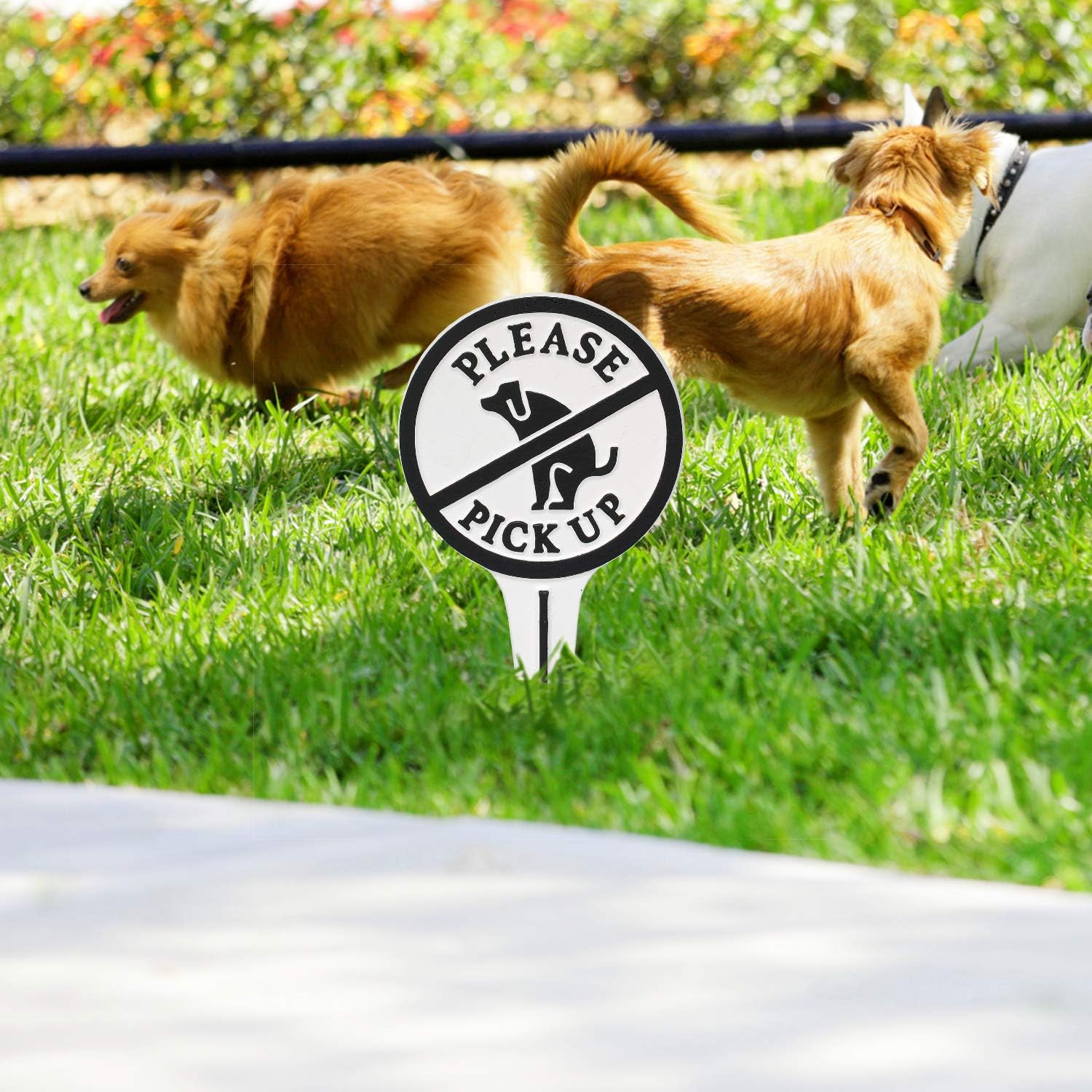 Whitehall Products 10602 Please Pick Courtesy Lawn Stake no Poop Dog Sign, 9.5" x 5.25" x 0.25", White/Black