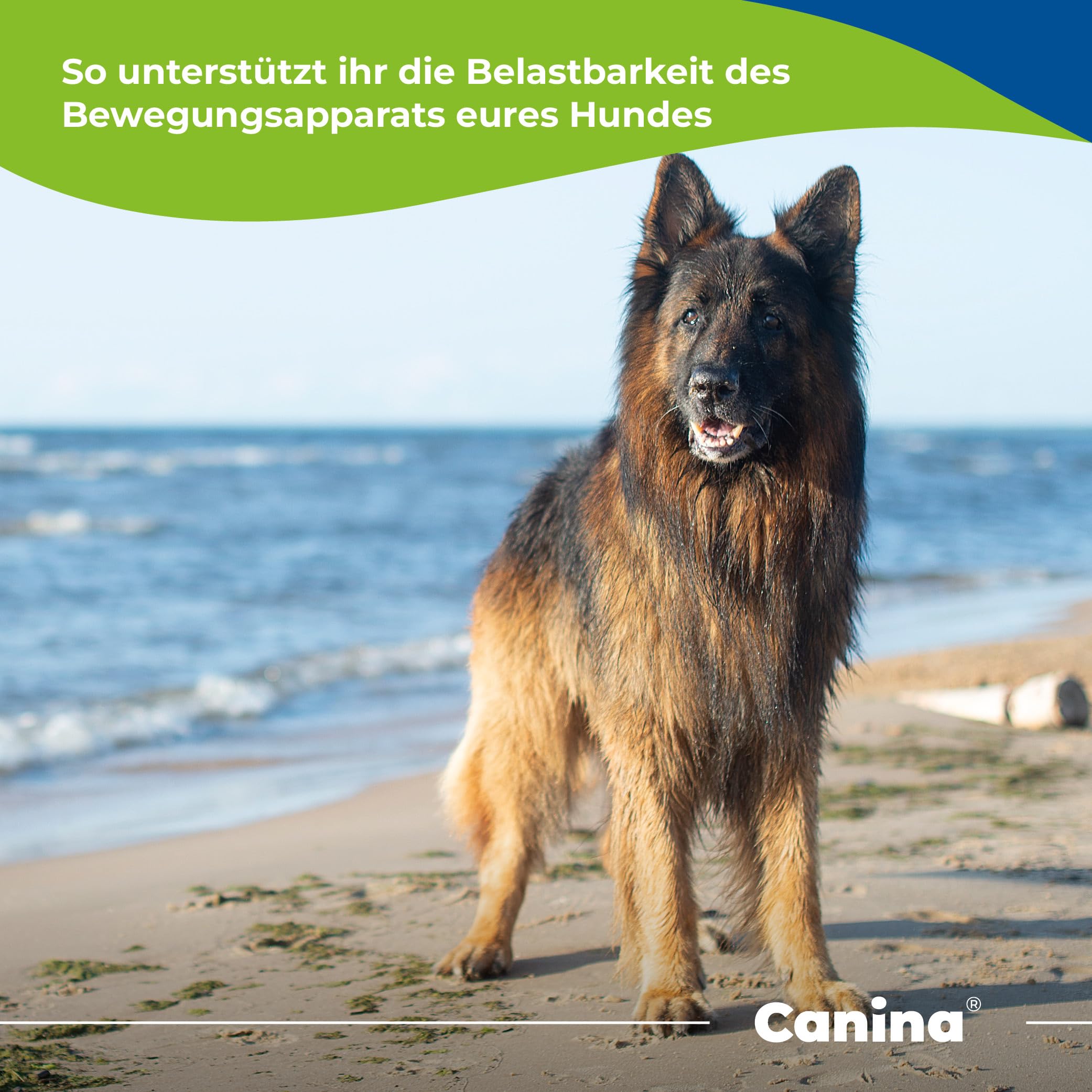 Canina Pharma PETVITAL GAG Tabletten 180 g
