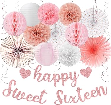 Vlipoeasn Rose Gold Sweet 16 Birthday Decorations for Girls