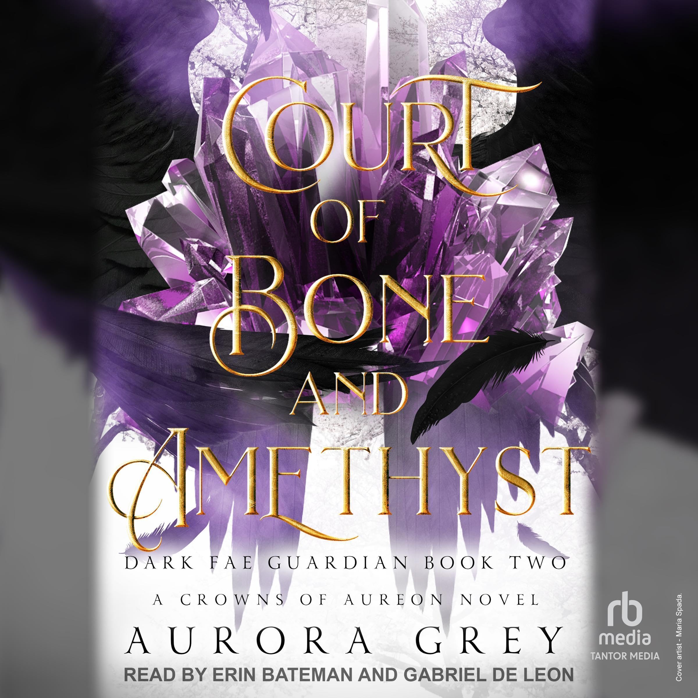 Cover art for Court of Bone and Amethyst