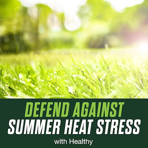 Miniatura 2 de Scotts Turf Builder Healthy Plus - Alimento para césped, fungicida y fertilizante 2 en 1, ayuda a que el césped resista el estrés del verano, 4,000