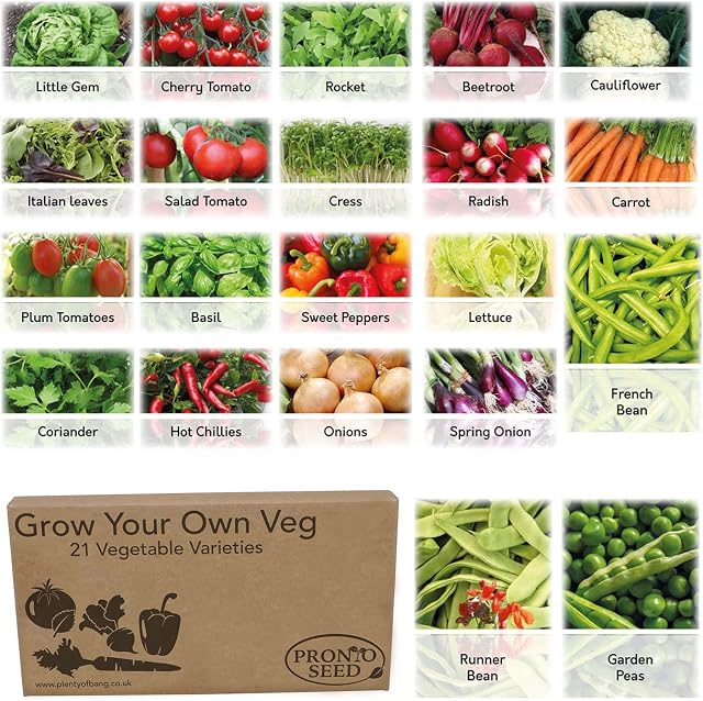 Pronto Seed Vegetable Herb Seeds Grow Your Own Kit Gardening Gift for Women and Men Bumper Pack (24 Varieties with Over 1700 Seeds) Salad Mix, Spicy Mix, Peas & Beans Mix & Vegetable Mix
