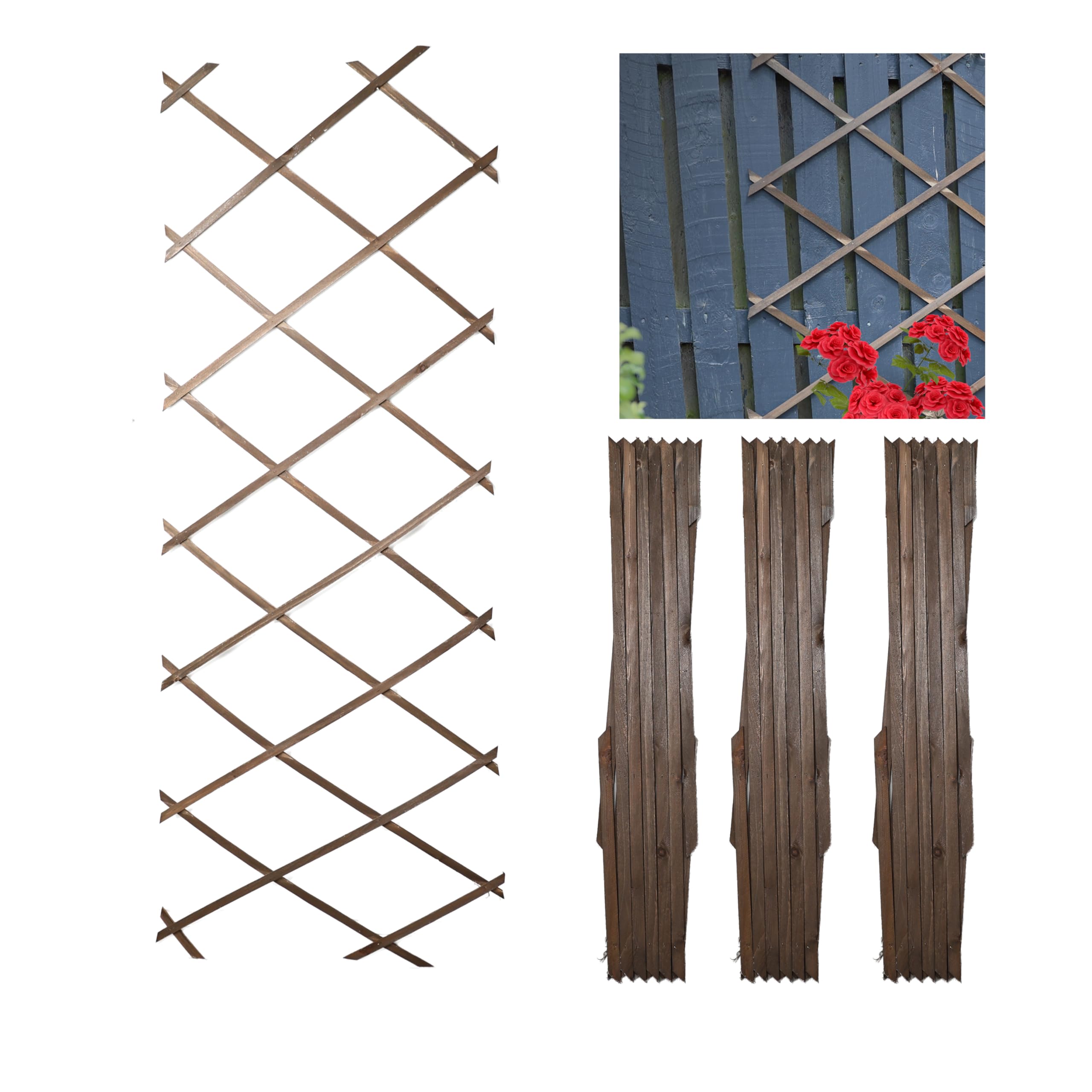 DIVCHI Wooden Trellis Expandable Garden Wall Trellis For Climbing Plants Decoration & Plants Partitioning (Pack Of 3) (180cm x 60cm) (Oak Wood)