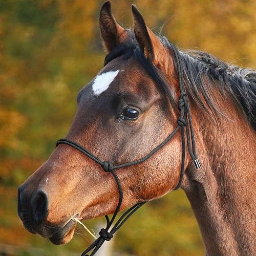 Miniatura 2 de Maskology Halter de cuerda para caballos, súper resistente, cabestrillo de entrenamiento de cuerda de caballo con 2 nudos de 14 de pulgada rígida,